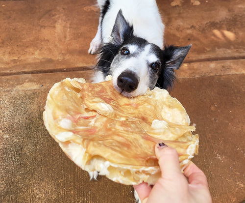 The Natural Dog Company Tremenda Disc Chews