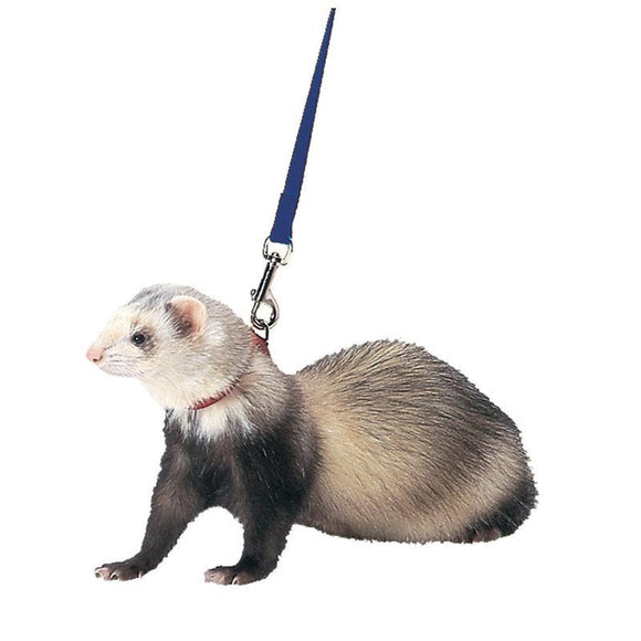 FERRET HARNESS AND LEAD (BLACK)