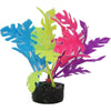 Vibran-Sea Color Burst Florals Philo Leaf Multi